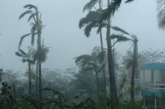Hujan Badai di Parakansalak Sukabumi, Pohon Tumbang Timpa Rumah