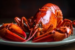 Hati-Hati Memasaknya! Berikut 4 Cara Mengolah Lobster yang Benar bagi Pemula
