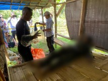 Dirubung Banyak Semut, Mayat Lelaki Tanpa Identitas Ditemukan di Dusun Anggayuda Sukabumi