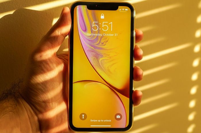 Update Harga IPhone XR Januari 2024 Ini Link Pembelian Dan Spesifikasi   1705036734 1 Org 